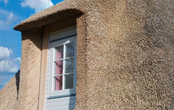 Tone thatch roof disadvantages