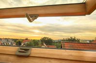 rated Tone roof window companies
